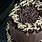 Best Dark Chocolate Cake