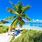 Best Florida Beach
