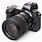 Best Nikon Camera for Wildlife Photography