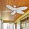 Best Outdoor Ceiling Fans for Patios