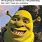 Best Shrek Memes