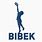 Bibek Rai Logo
