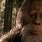 Bigfoot Sasquatch Movies