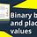 Binary Place Values