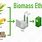 Biomass to Ethanol