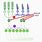 Bipolar Cells in Retina