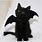 Black Bat Cat