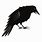 Black Crow SVG