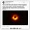 Black Hole Twitter