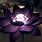 Black Lotus Background