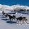 Black Mirror Snow Dogs