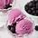 Black Raspberry Ice Cream