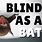 Blind Bat Meme
