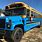 Blue Bird School Buses For