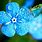 Blue Butterflies On Flowers