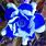 Blue Desert Rose