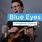 Blue Iris Eyes Song