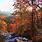 Blue Ridge Georgia Fall