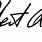 Bob Iger Signature