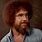Bob Ross without Afro