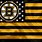 Boston Bruins Flag