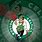 Boston Celtics Official Logo