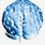 Brain Front PNG