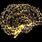 Brain Neural Network Image