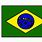 Brazil Flag for Kids