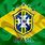 Brazil Soccer Team Flag