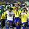 Brazil at the 2002 FIFA World Cup