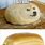 Bread Doge Dog Memes