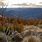 Brindabella Mountains