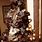 Brown Christmas Tree