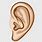 Brown Ears Clip Art