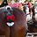 Budweiser Clydesdales Tails