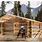 Build Small Log Cabin