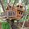 Build Treehouse