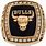 Bulls Championship Rings