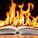 Burning Book Pile