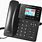 Business IP Phone System