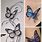 Butterflies Tattoo Stencil