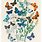 Butterfly Botanical Prints