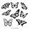 Butterfly Design Black and White