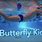 Butterfly Kick Swimming