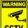 CCTV Camera Sticker