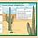 Cactus Plant Adaptations