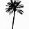 California Palm Tree Silhouette