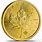 Canada Maple Leaf 1 Oz Gold Coin