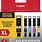 Canon Ink Cartridges 250 251